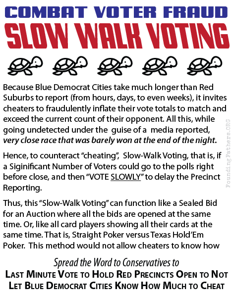 Slow-Walk Voting