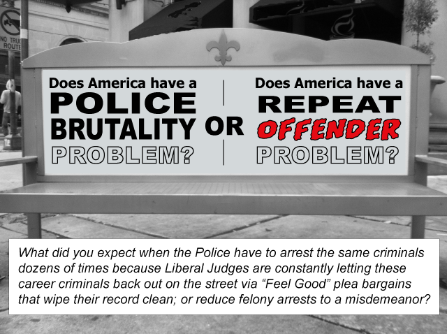 Does America have a Police Brutality Problem? Or, does America have a Repeat Offender Problem?