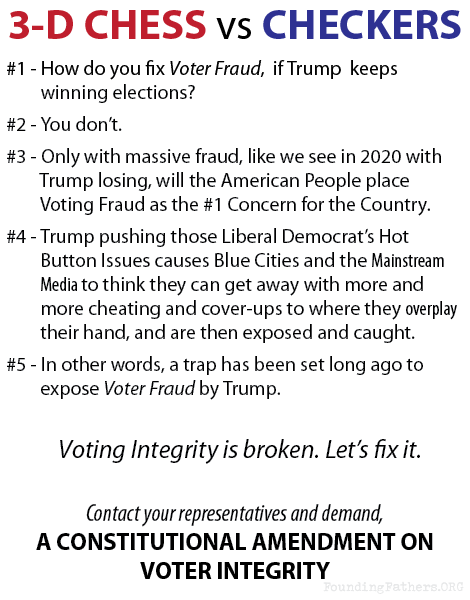 3-D Chess vs Checkers - Voter Fraud