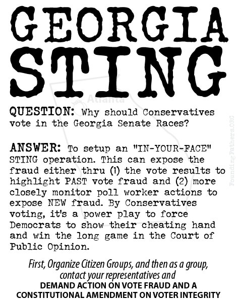Georgia Sting - Why should Conservatives vote in the Georgia Senate Races?