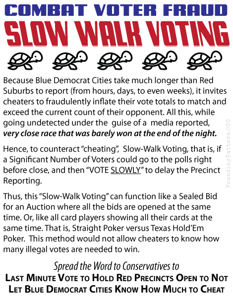 Slow Walk Voting